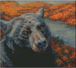 (image for) Lake of the Clouds Bear